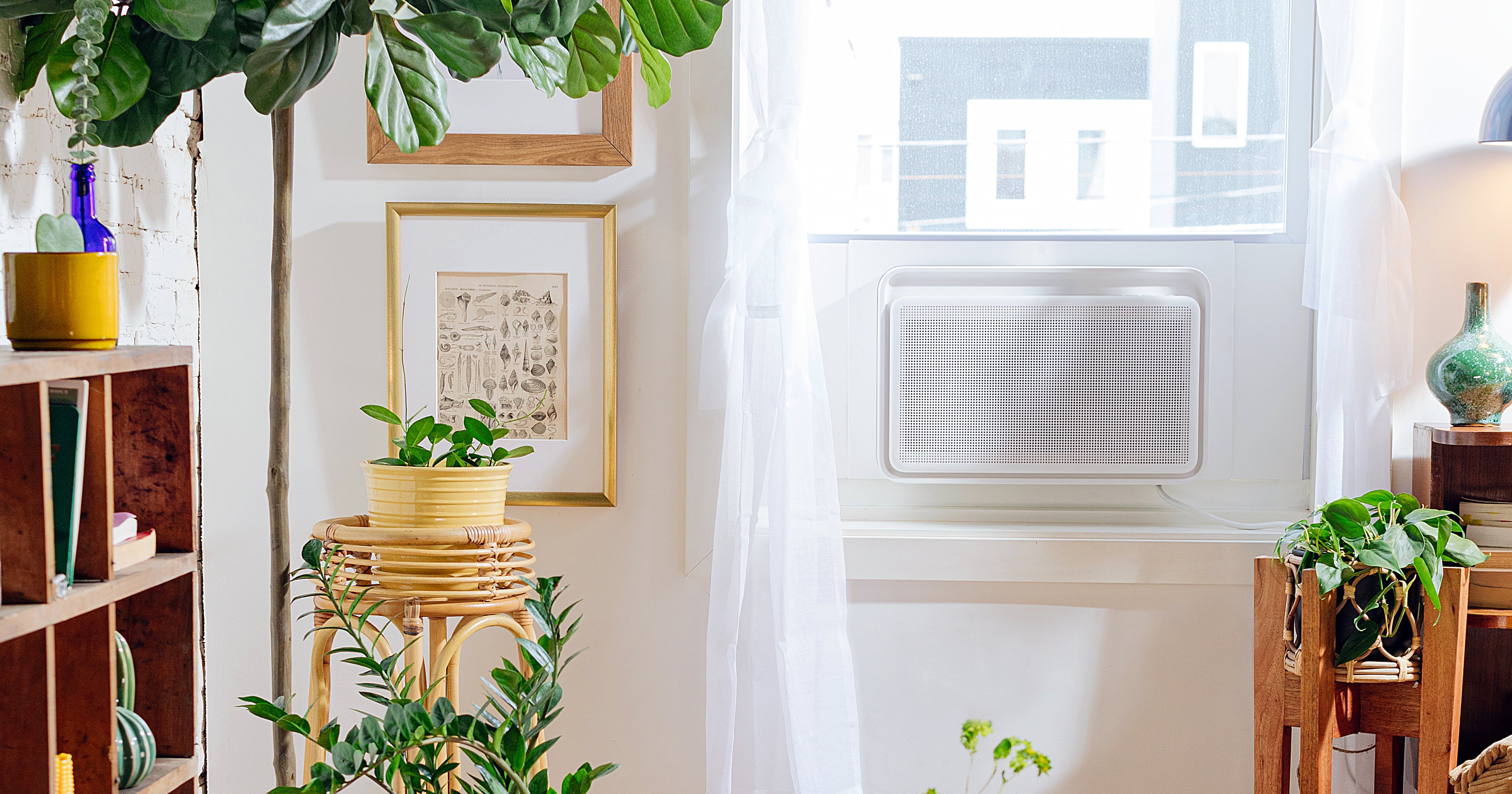 Windmill AC Review POPSUGAR Smart Living