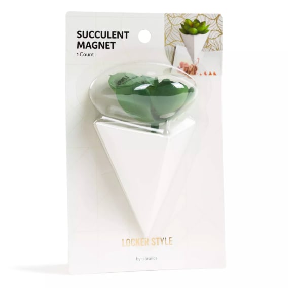 Locker Succulent Magnet