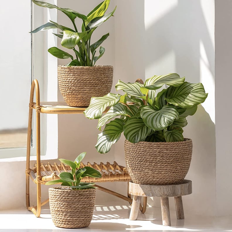 Indoor Seagrass Planter Baskets