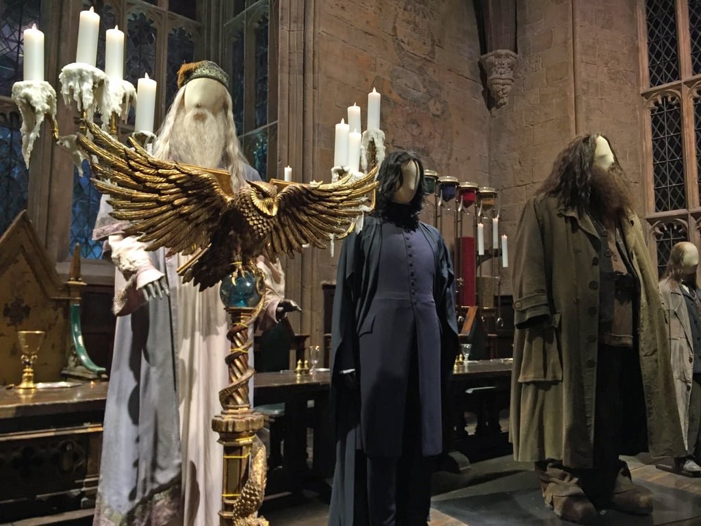 At the head of the room you can spy some of the most famous professors, including the headmaster himself, Dumbledore, and Snape and Hagrid.