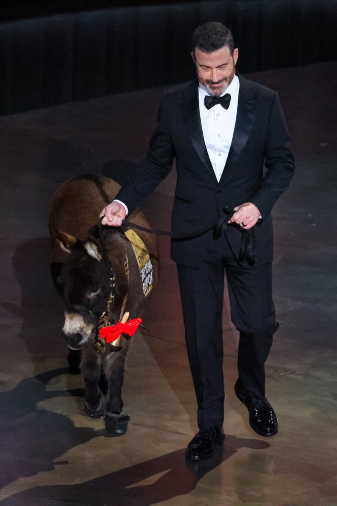Jenny, the Banshees of Inisherin Donkey, at the 2023 Oscars