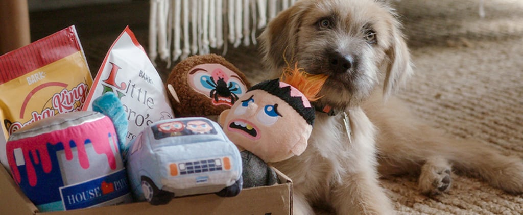 Home Alone BarkBox and Super Chewer Toys and Treats | 2020