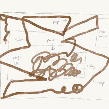 Roomba Spreads Dog Poop Around House