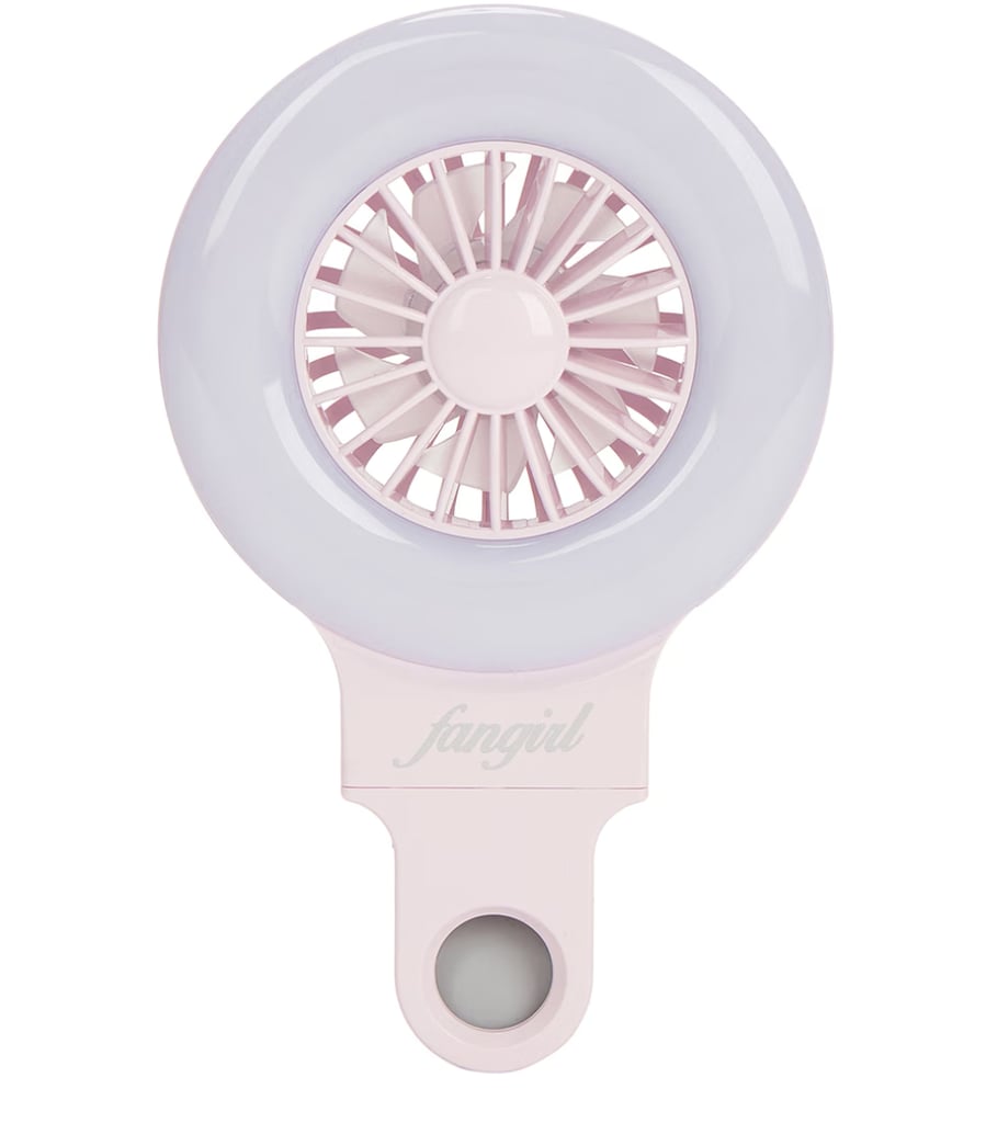 A Fan and Light Combo