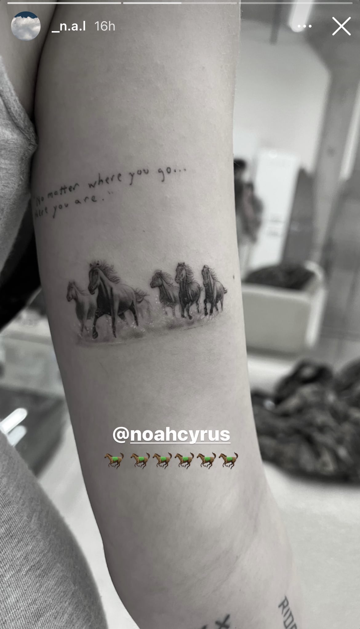 Monster HALF HUMAN HORSE Tattoo for Men Women Waterproof Temporary Body  Tattoo  Price in India Buy Monster HALF HUMAN HORSE Tattoo for Men Women  Waterproof Temporary Body Tattoo Online In India