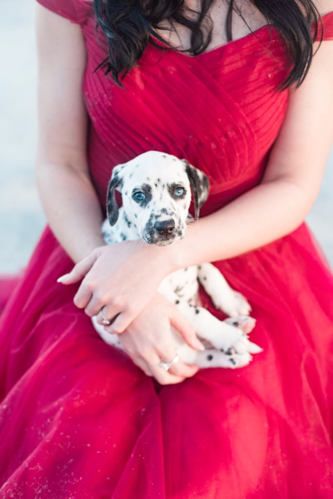 Dogs in Weddings