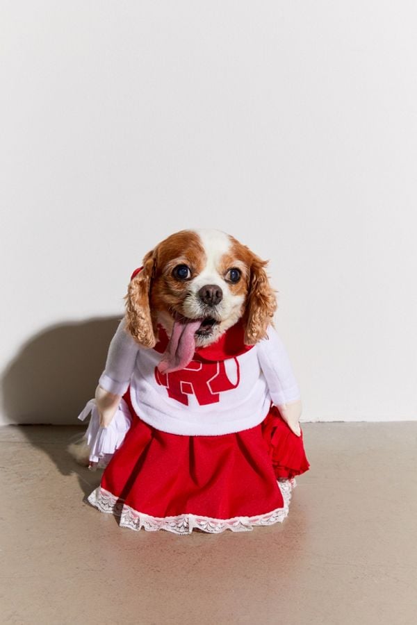 Cheerleader Dog Halloween Costume