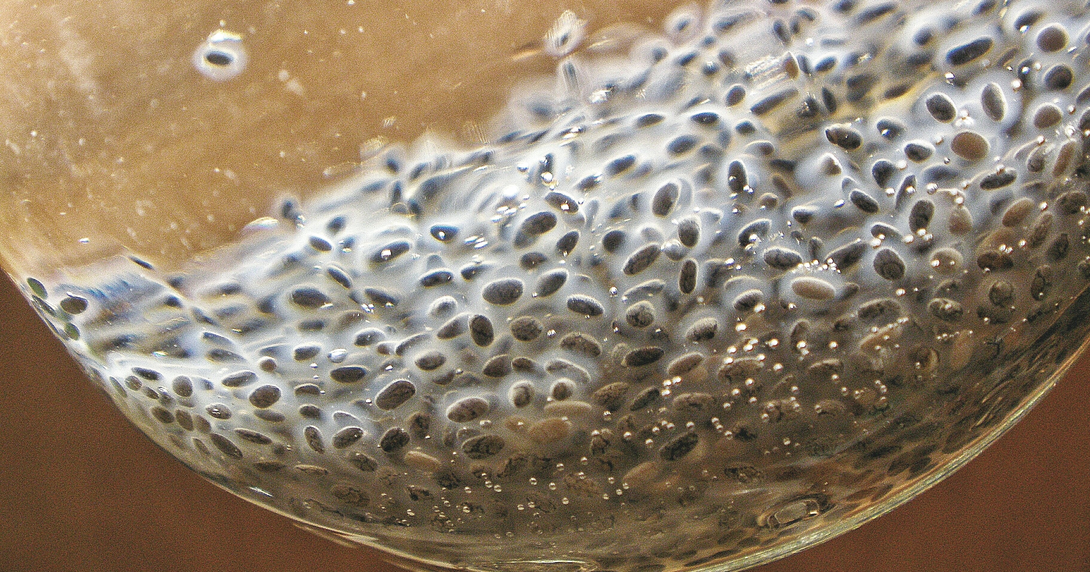 Is Chia Seed Water Healthy or Not? An RD Weighs In