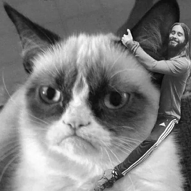 Jared Hugging Grumpy Cat