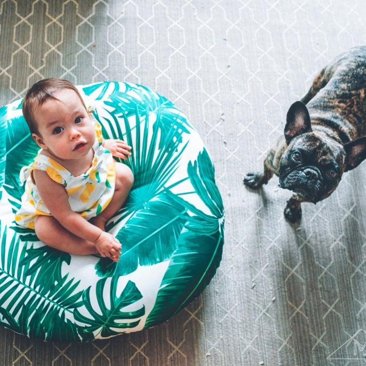 Pictures of French Bulldogs and Babies