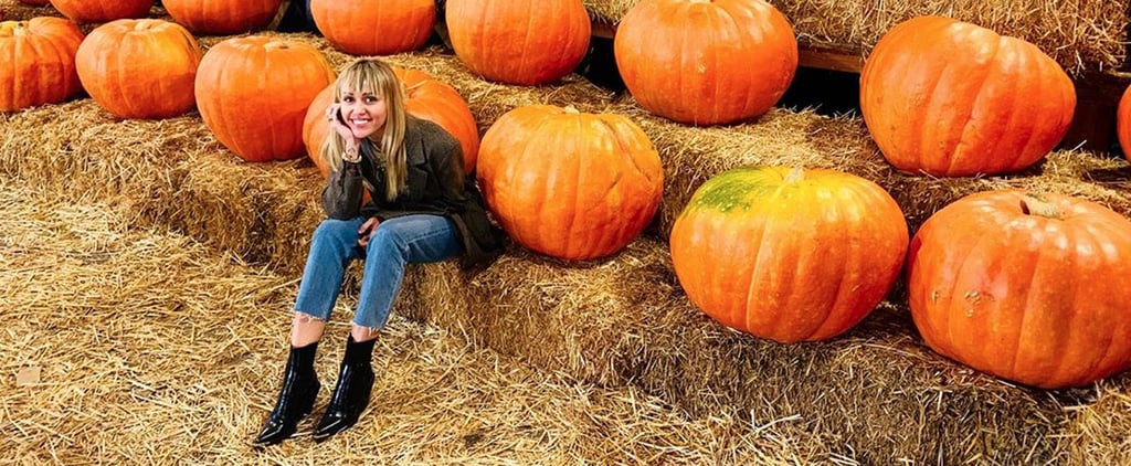 On a Scale of One to These Photos of Miley Cyrus at a Pumpkin Patch, How Much Do You Love Fall?