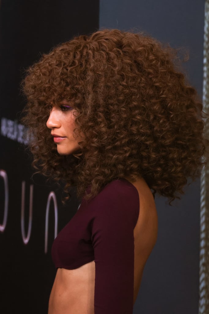 Zendaya Debuted a Curly Shag Haircut on Red Carpet