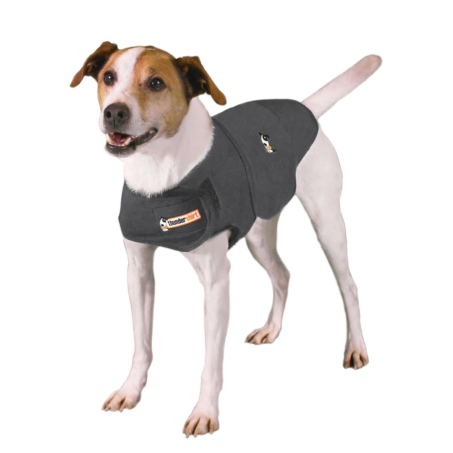 Do Anxiety Jackets For Dogs Work