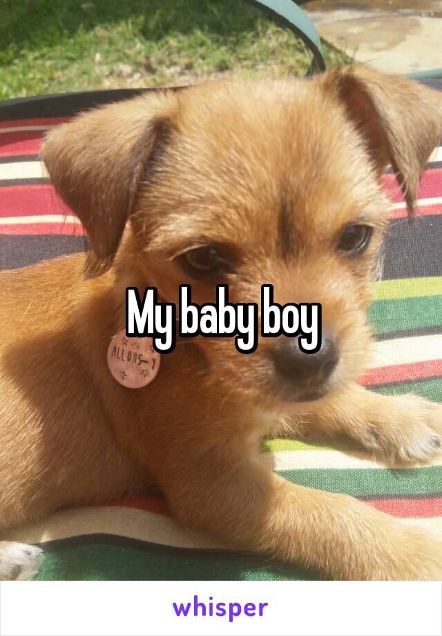 Dog-Lovers on Whisper