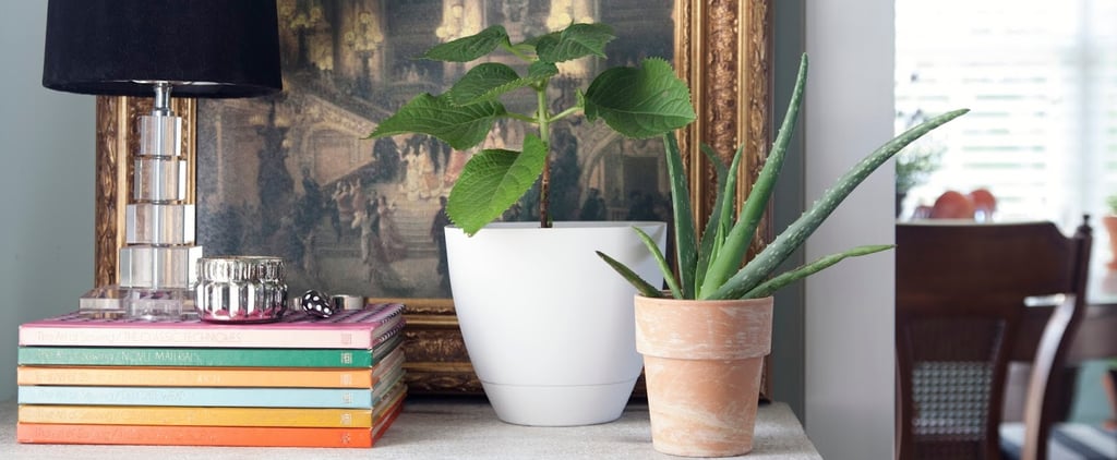 How to Redecorate Your Home Affordably