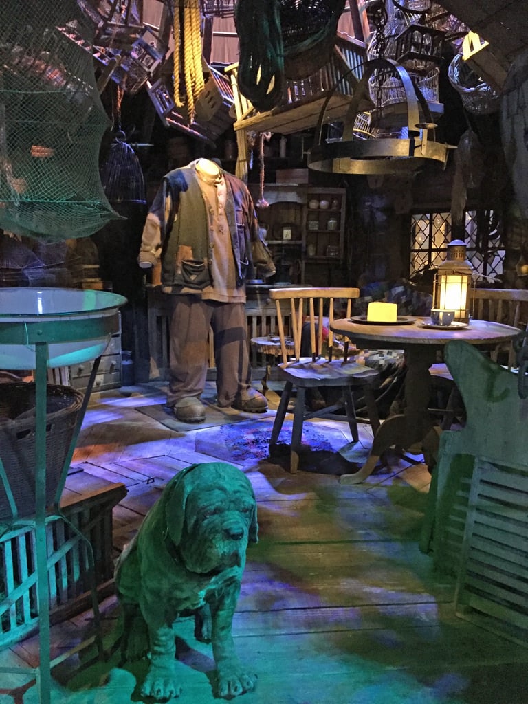 hagrid's hut and fang pop