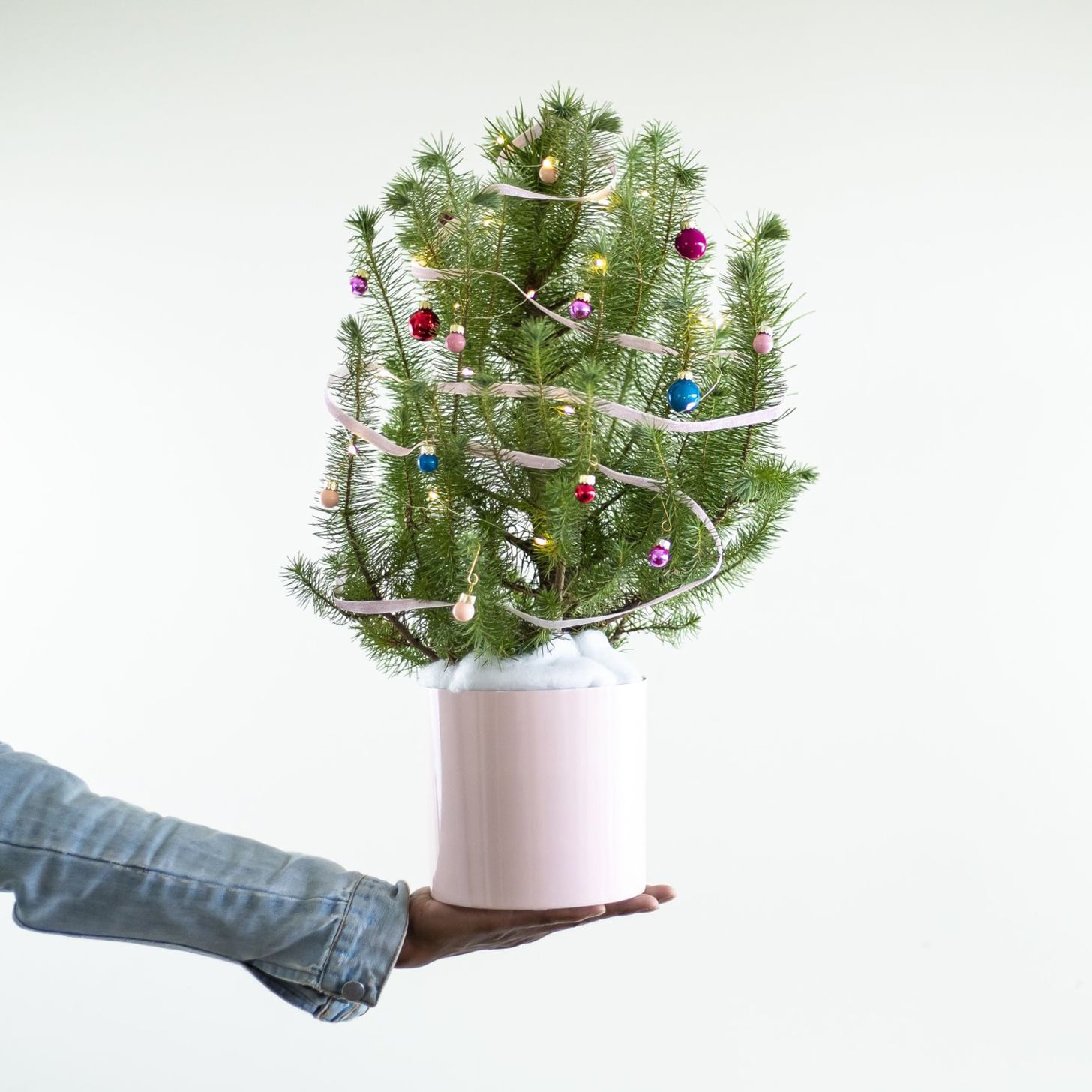 Tabletop Trees Christmas : Tabletop Christmas Trees You Ll Love Wayfair Co Uk : Live tabletop christmas trees are lovely during the holidays, but afterwards, when the lights and decorations have been removed and the trees begin to yellow and drop their needles.