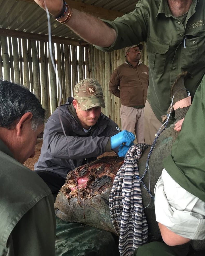 When He Worked With Wounded Rhinos