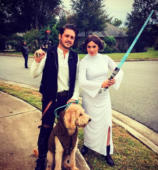 Matching Dog and Owner Halloween Costumes