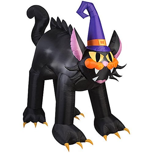Animated Scary Cat