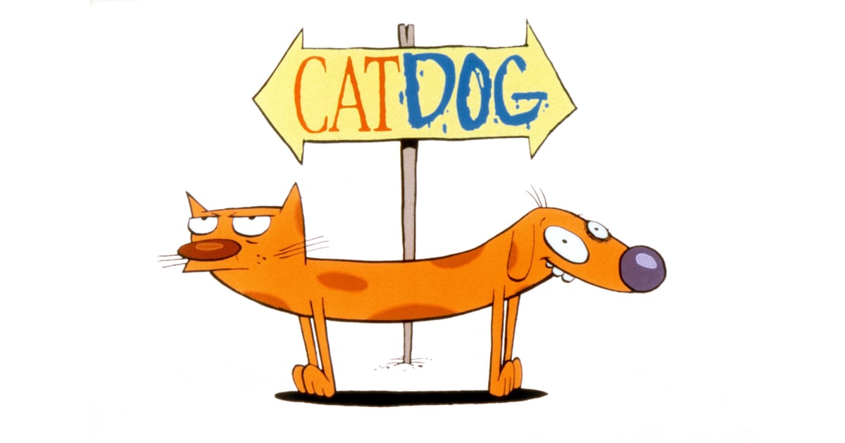 Catdog 1998 2005 Best 90s Nickelodeon Shows Popsugar
