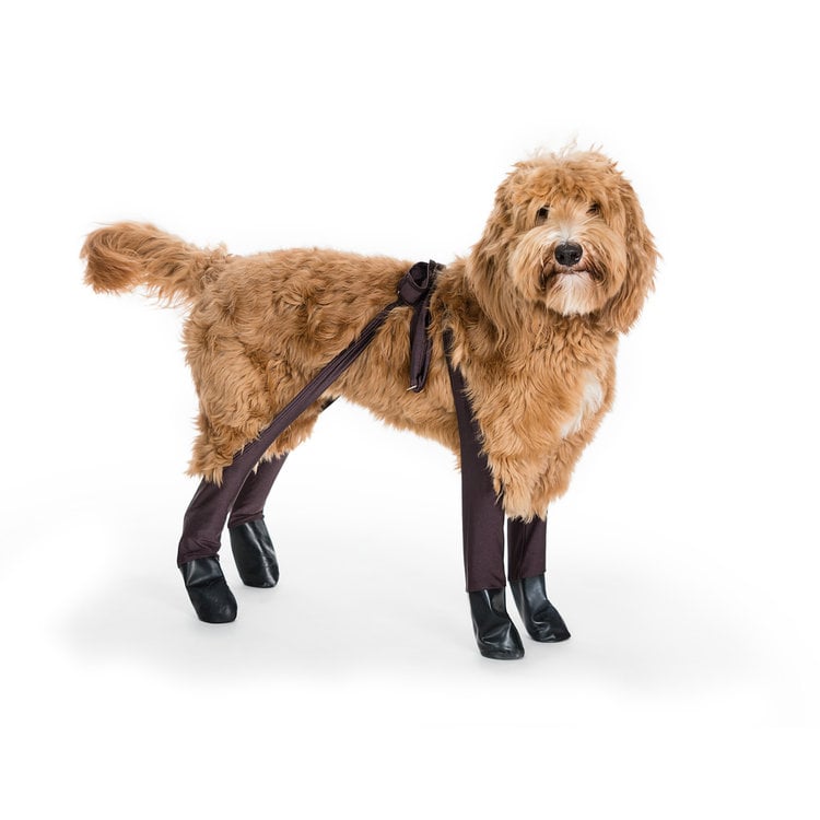 Walkee Paws Snug Fit Outdoor Leggings - PawFlex