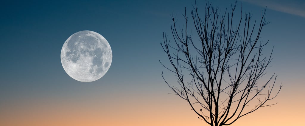 When to Watch Every Full Moon in 2021