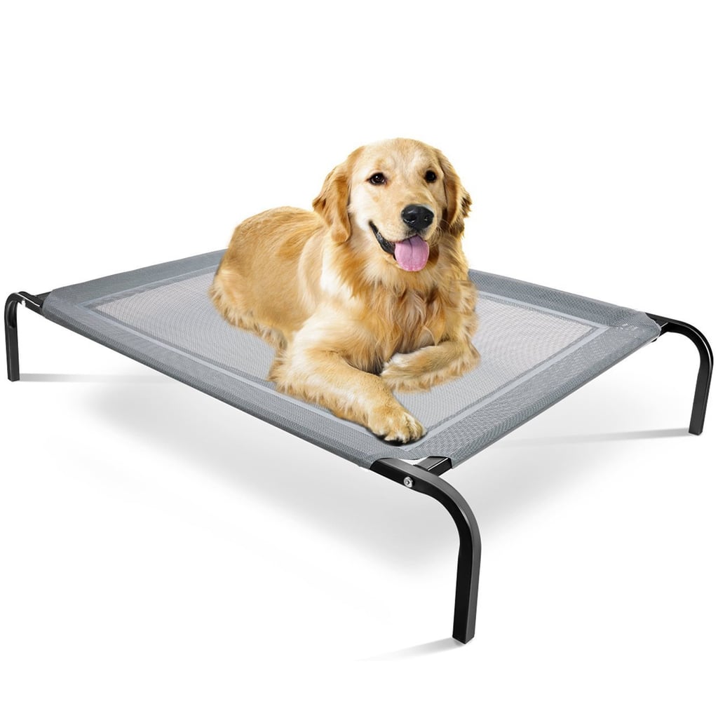 Elevated Cooling Pet Beds on Amazon POPSUGAR Pets