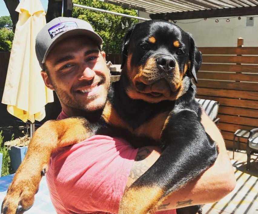 Ben Zorn's Dog From Bachelor in Paradise POPSUGAR Pets