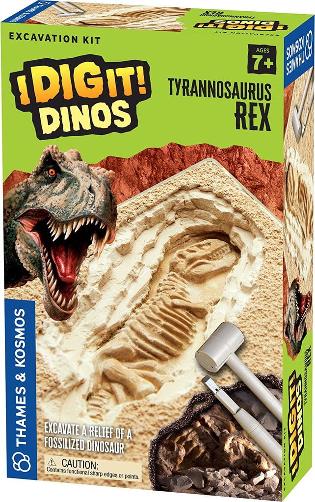 Thames & Kosmos T. Rex Excavation Kit
