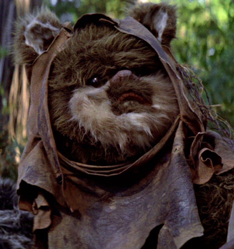 An Ewok