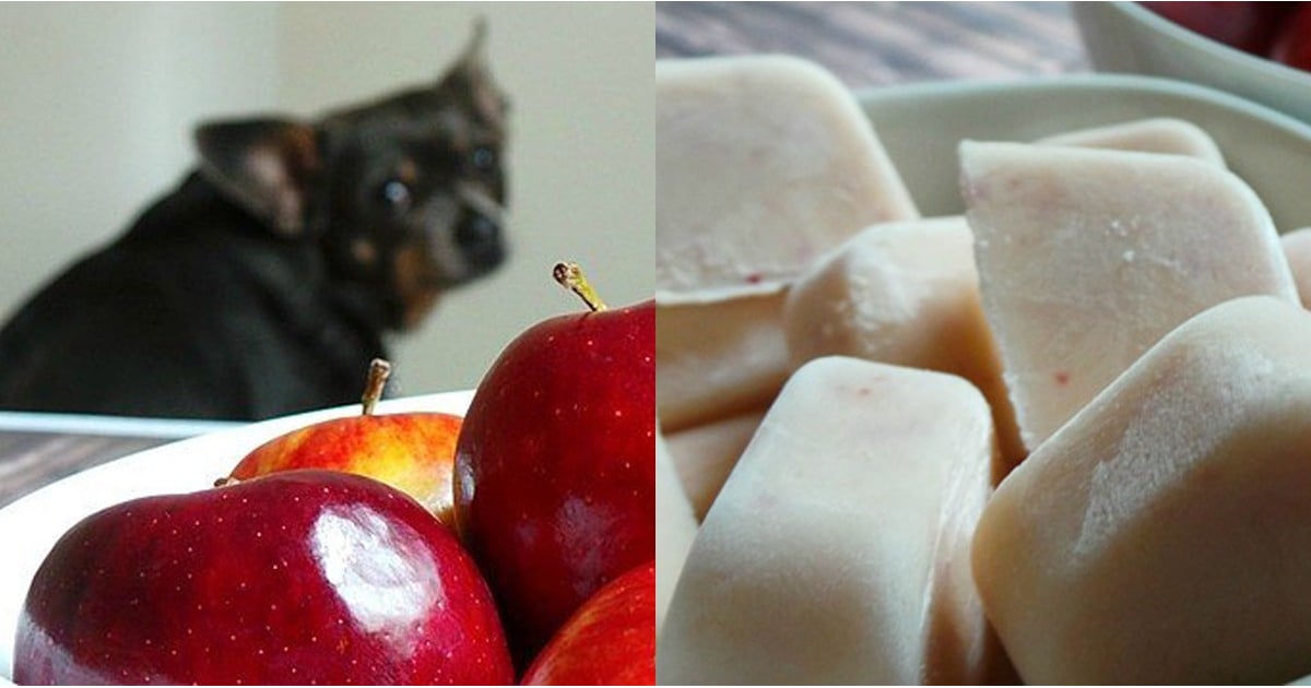 Apple Pie Pupsicle Frozen Yogurt Dog Treats - Dalmatian DIY