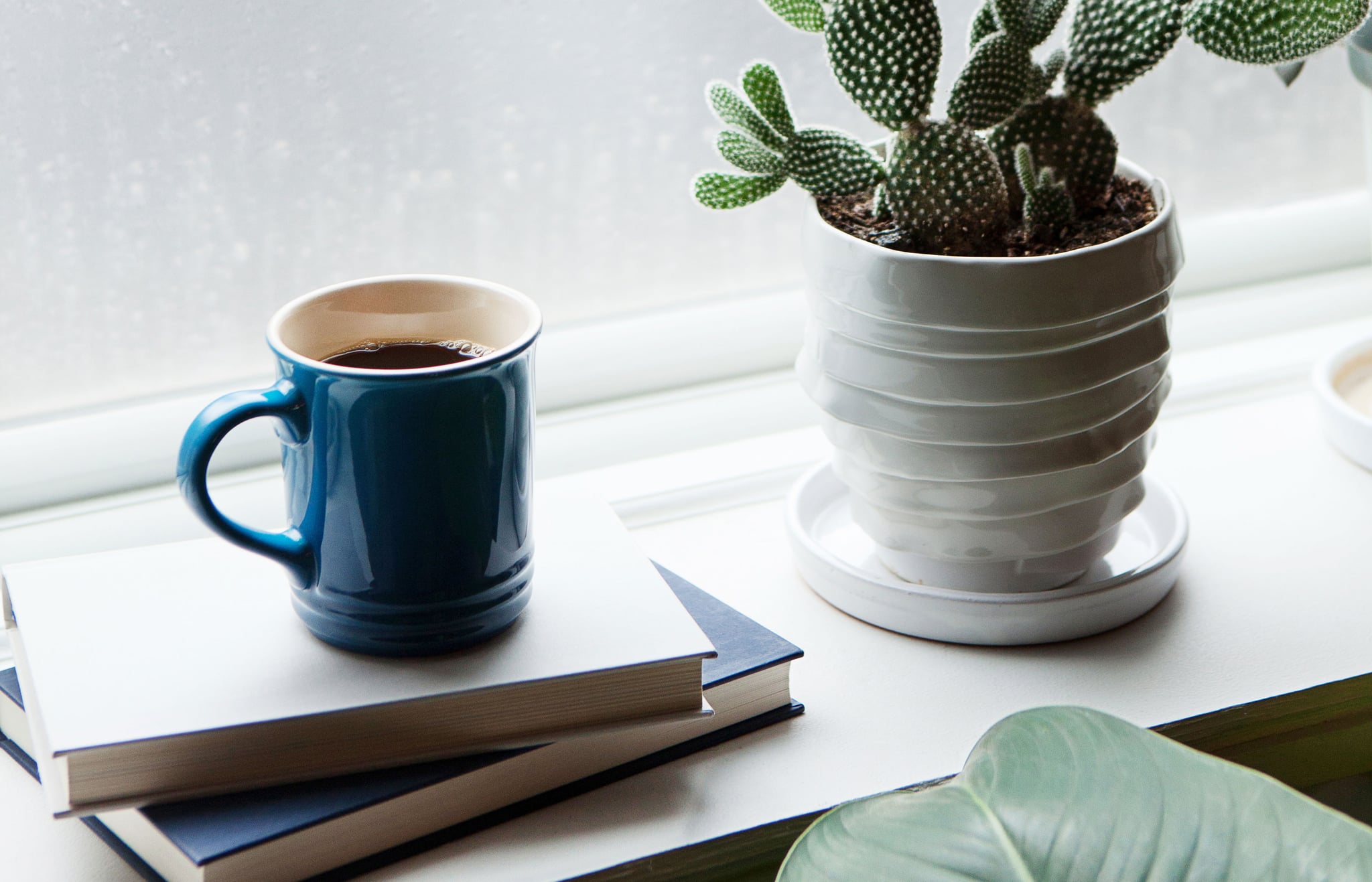 mug of coffee on a stack of books next to a cactus; is coffee good for you?
