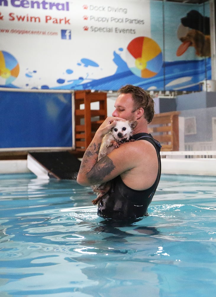 Pictures of Dogs Swimming | Finding Fido