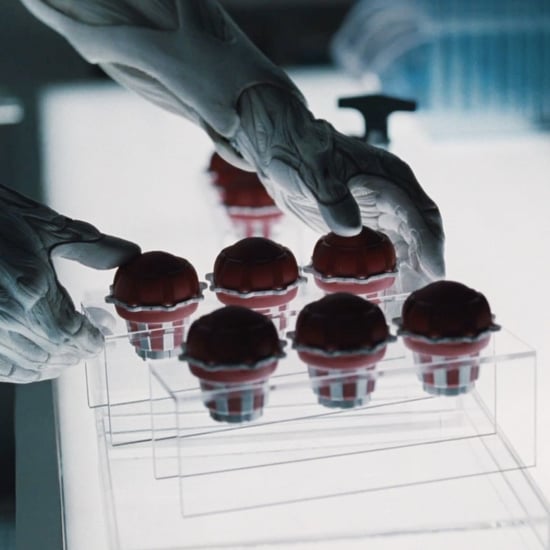 What Are the Red Cupcake Things on Westworld?