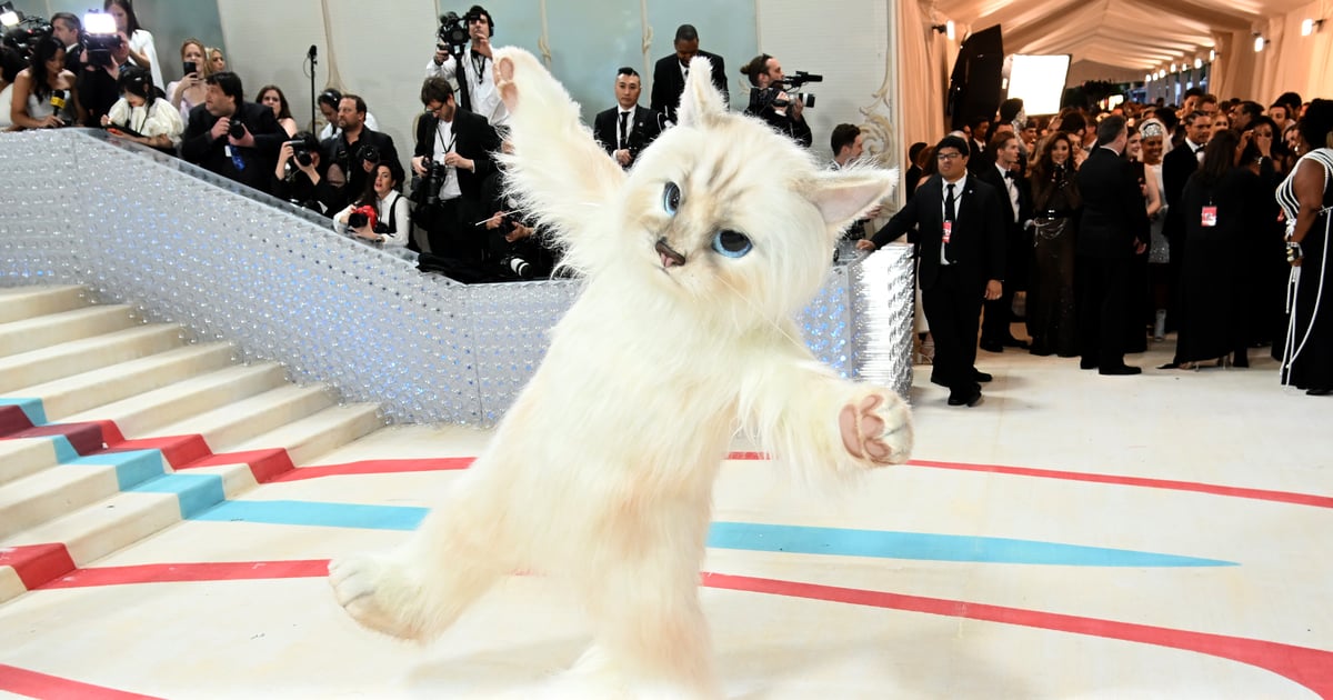 Photo of Jared Leto Shows Up to the Met Gala Dressed as a Giant Cat