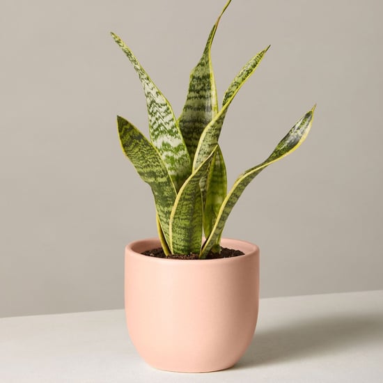 Best Gifts For Your Boss