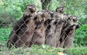 When they just want to know what's going on.