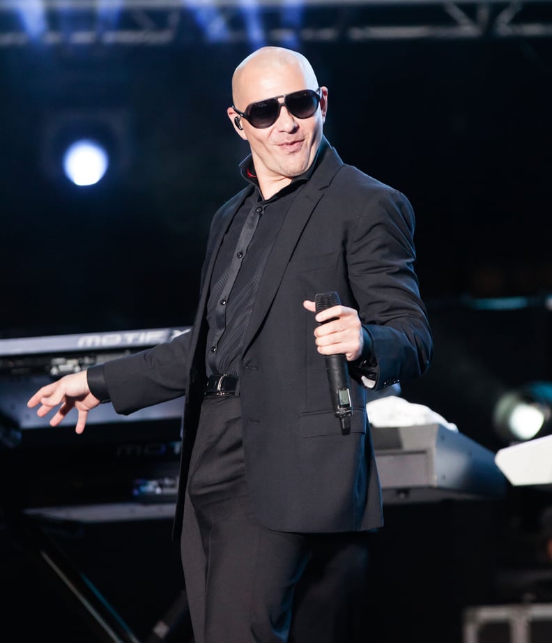 Pitbull = Armando Christian Pérez