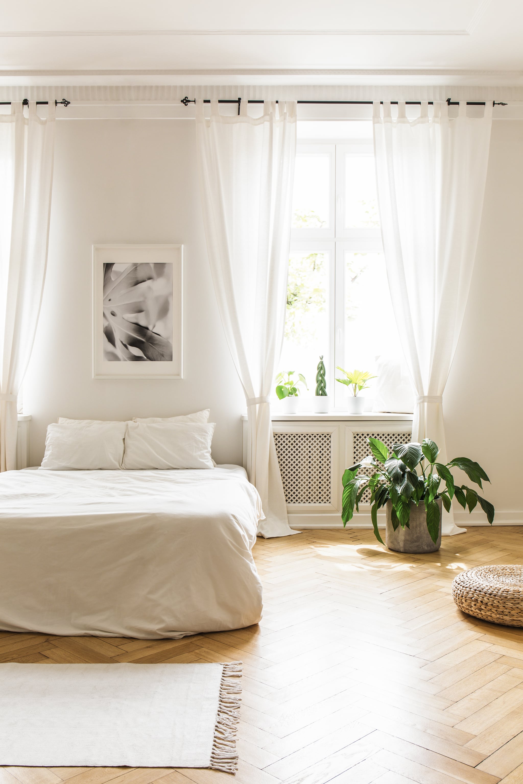 We Steam Curtains and Comforter Covers