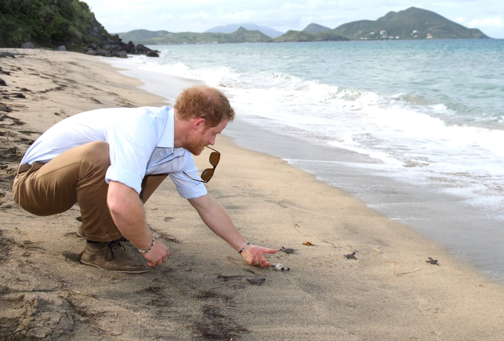 Prince Harry in the Caribbean Pictures 2016
