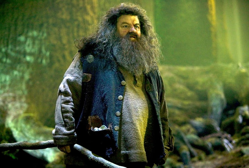 Hagrid is more powerful than any of us realize.