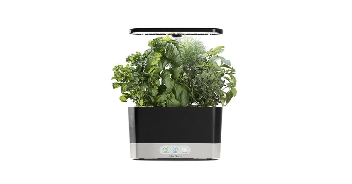 AeroGarden Harvest | Best Indoor Gardening Gifts | POPSUGAR Home UK Photo 2