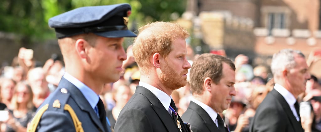 Prince Harry and Prince William Present a United Front During Queen Elizabeth II's Coffin Procession