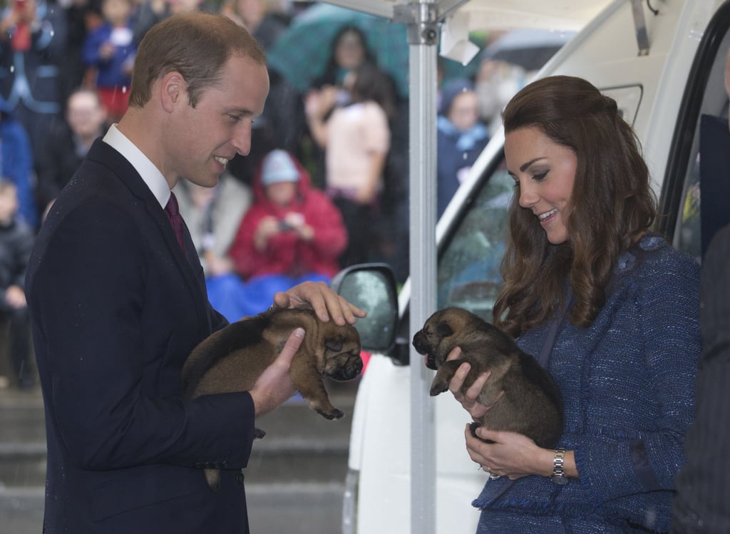 They held little adorable puppies at the Royal New Zealand Police College in April.