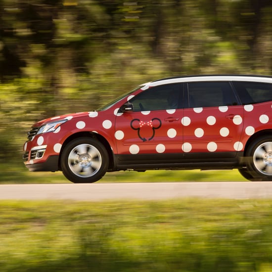 Minnie Van Vehicles at Disney World