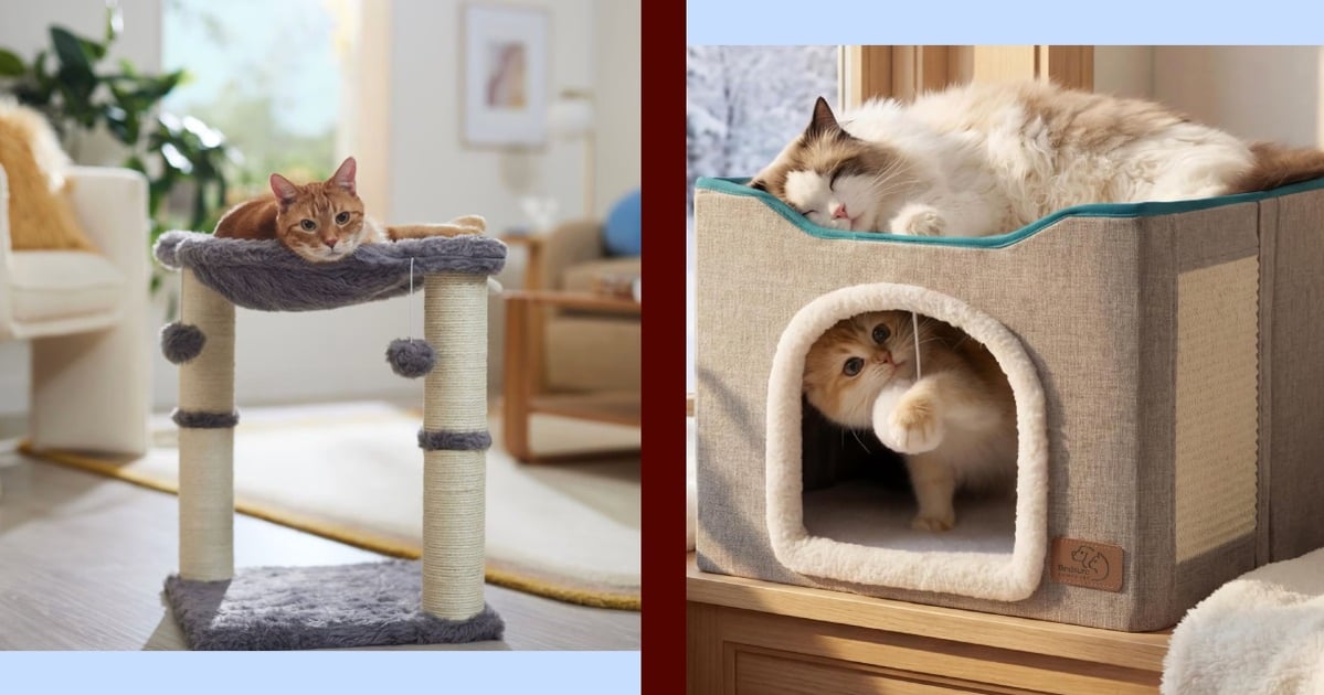 The Curated Edit for the Modern Cat Lady
