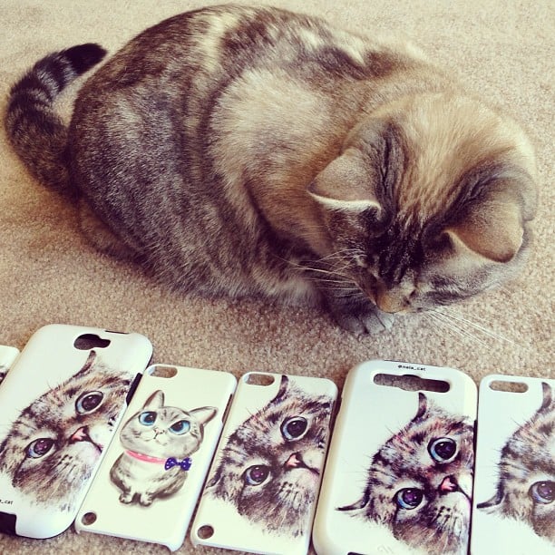 "It's so hard to choose a phone case when they're all so beautiful."