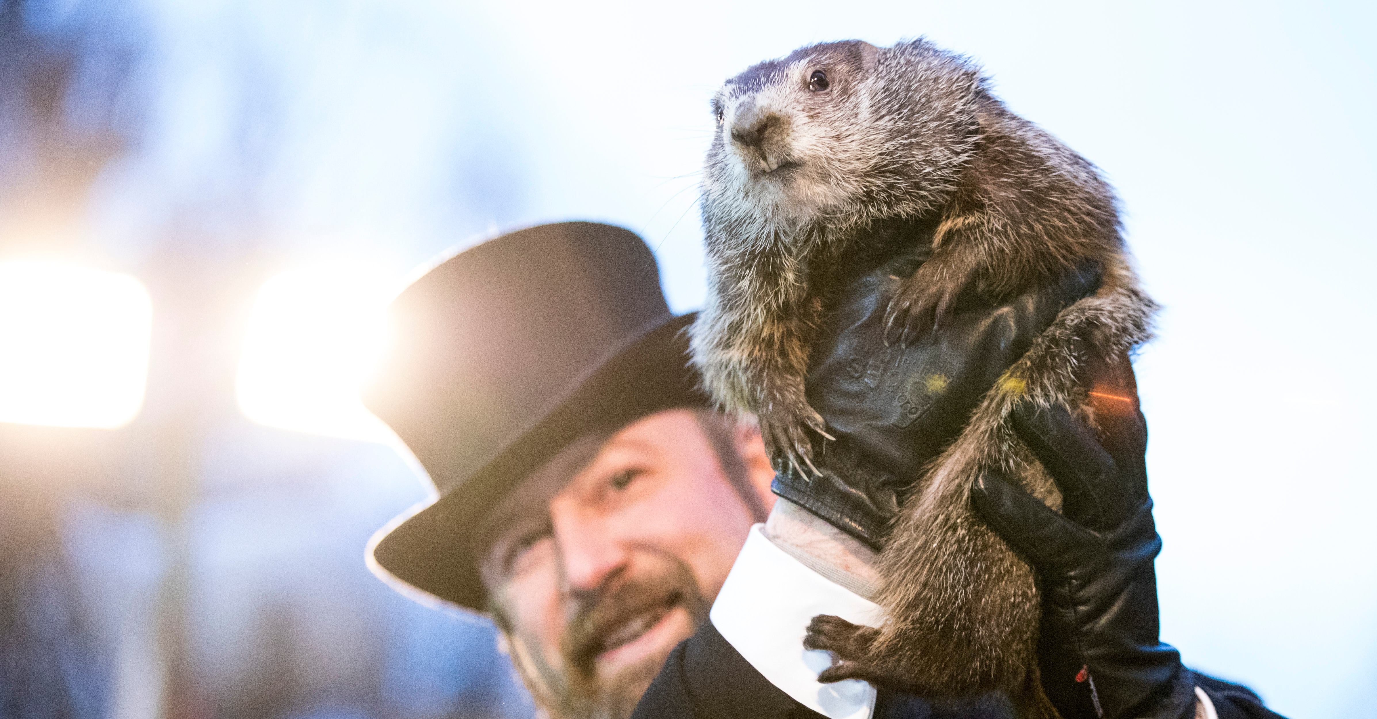 Groundhog Day 2018 | POPSUGAR News