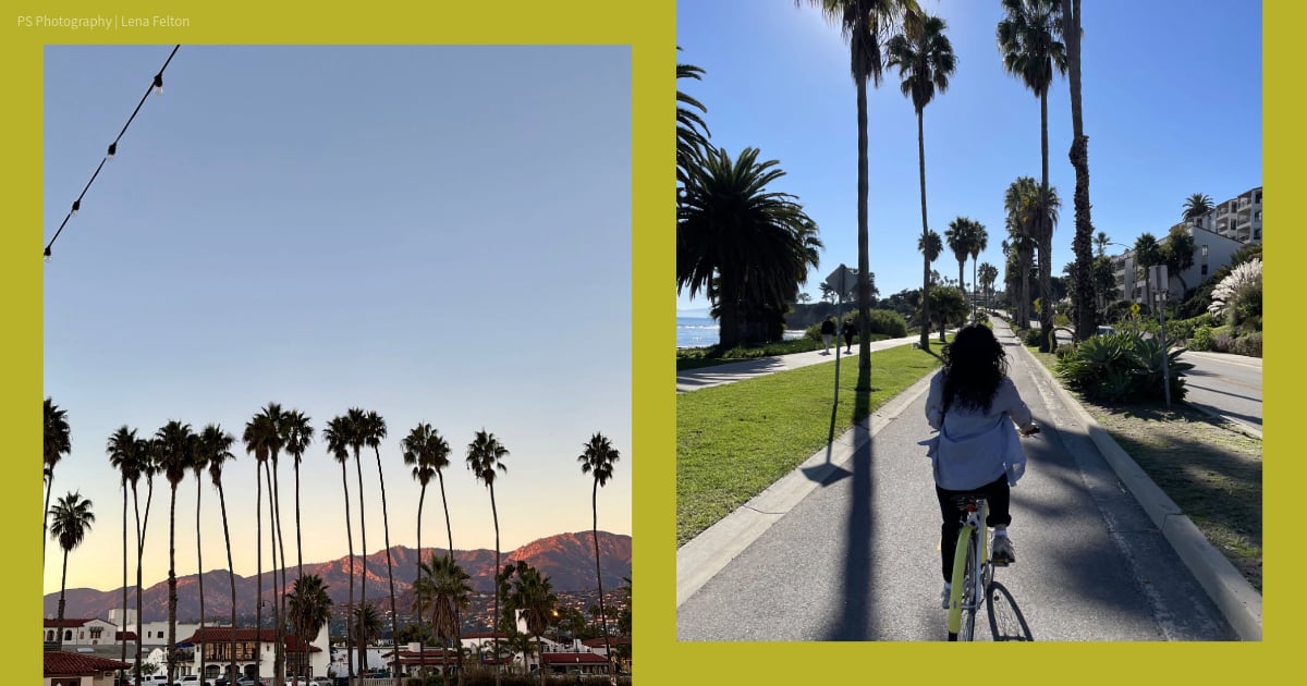 A "Micro-cation" Is the Bright Spot You Deserve This Winter